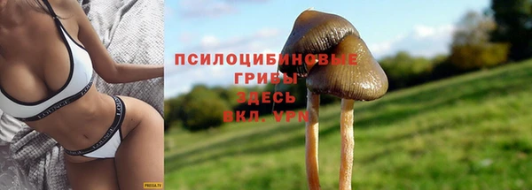 apvp Армянск