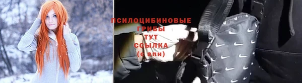 прущие крисы Арсеньев