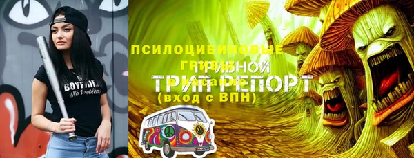 apvp Армянск