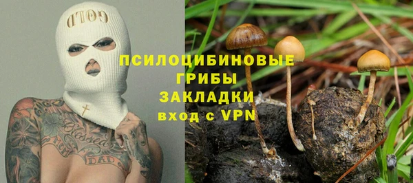 apvp Армянск