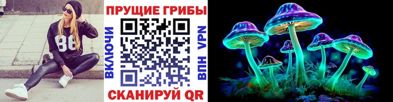 Галлюциногенные грибы прущие грибы  Купить закладки  Абаза 